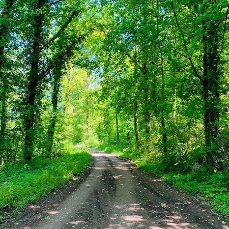 Lägenhet Aurora - Wlan, 2 Schlafzimmer, Tv, Kueche, Bad, Waschmaschine *